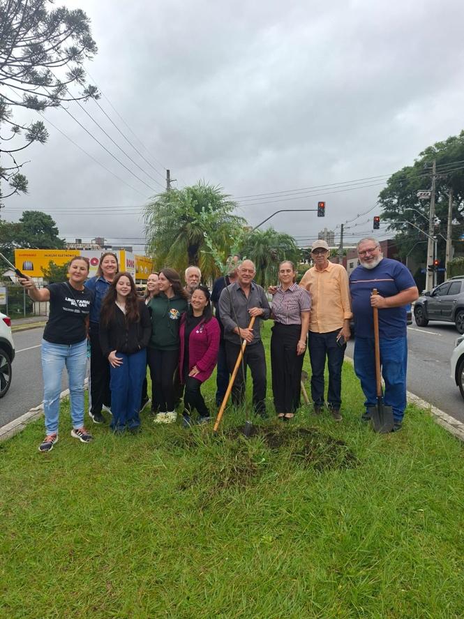 Acácias na Avenida